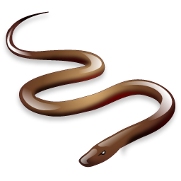 snake_icon