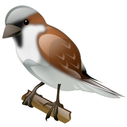 sparrow_icon