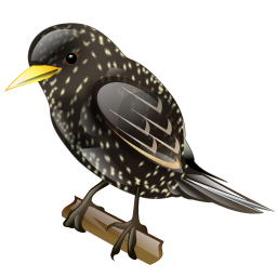 starling_icon