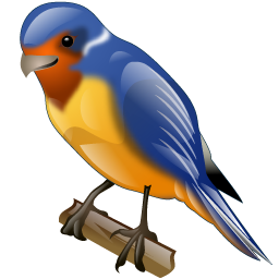 swallow_icon