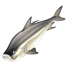 tarpon_icon