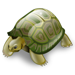 tortoise_icon