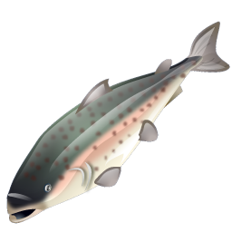 trout_icon