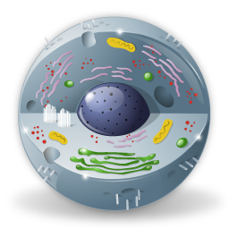 biology_icon