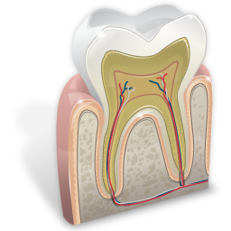 odontology_icon