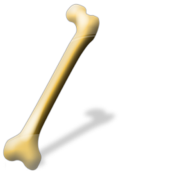 bone_icon