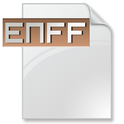 enff_format_icon