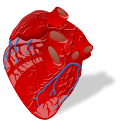 cardiology_icon