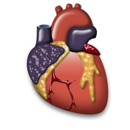 cardiology_icon