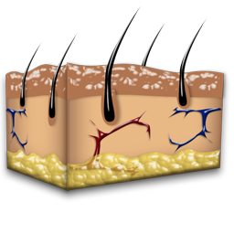 dermatology_icon