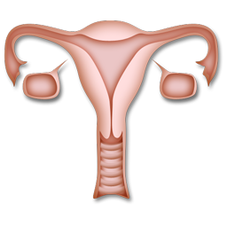 gynecology_icon