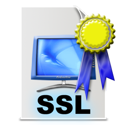 ssl_certificate_icon