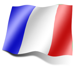 flag_france_icon