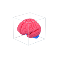 brain in box 3d icon small
