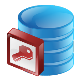 access icon