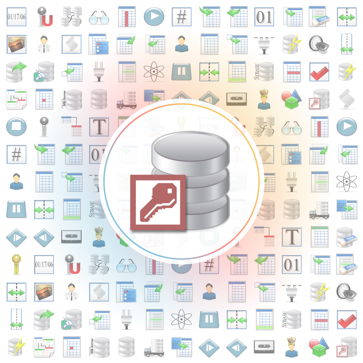 Access Icon - Iconshock